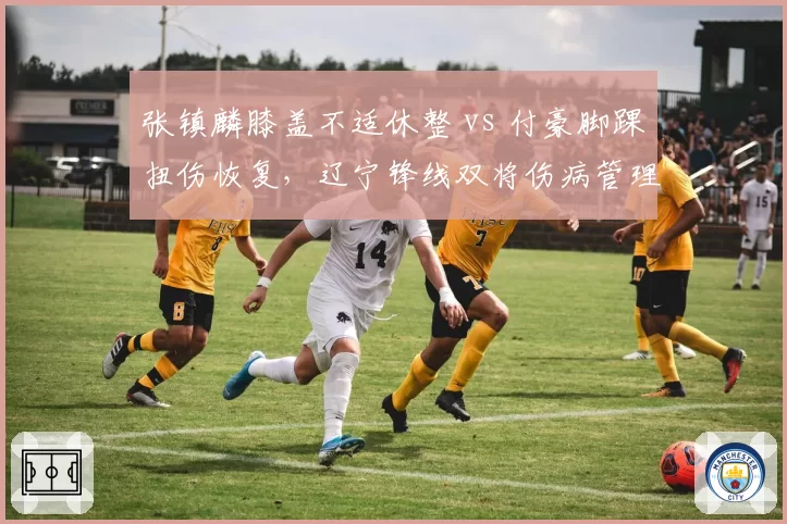 张镇麟膝盖不适休整 vs 付豪脚踝扭伤恢复,辽宁锋线双将伤病管理路线相左