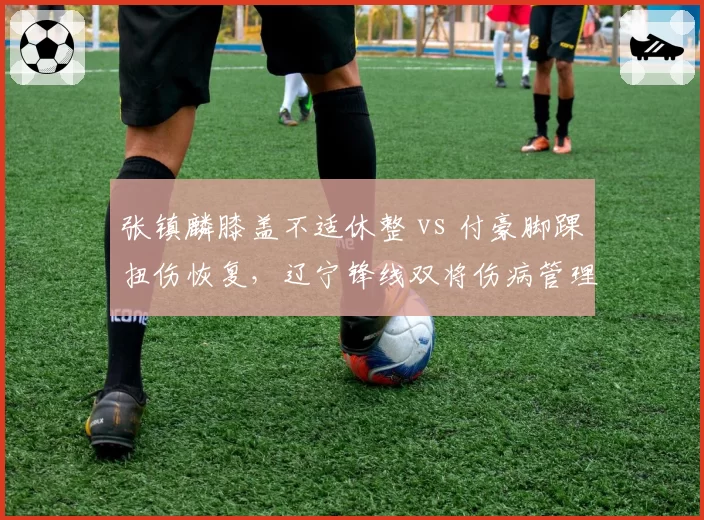 张镇麟膝盖不适休整 vs 付豪脚踝扭伤恢复,辽宁锋线双将伤病管理路线相左